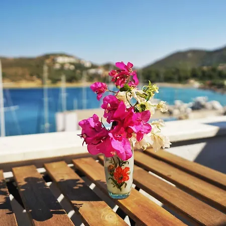 Hotel Bora